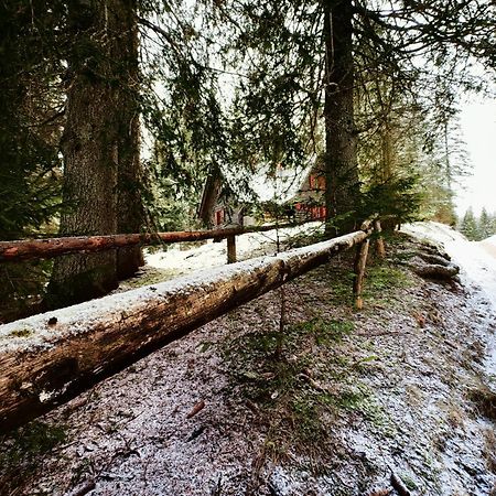 Chalet Stara Jelka Pokljuka Zgornje Gorje Екстериор снимка