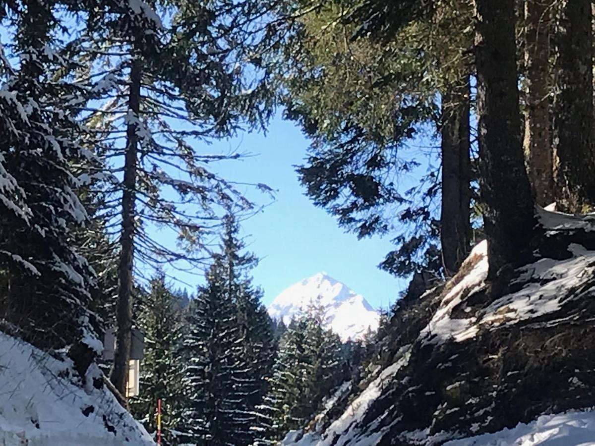 Chalet Stara Jelka Pokljuka Zgornje Gorje Екстериор снимка