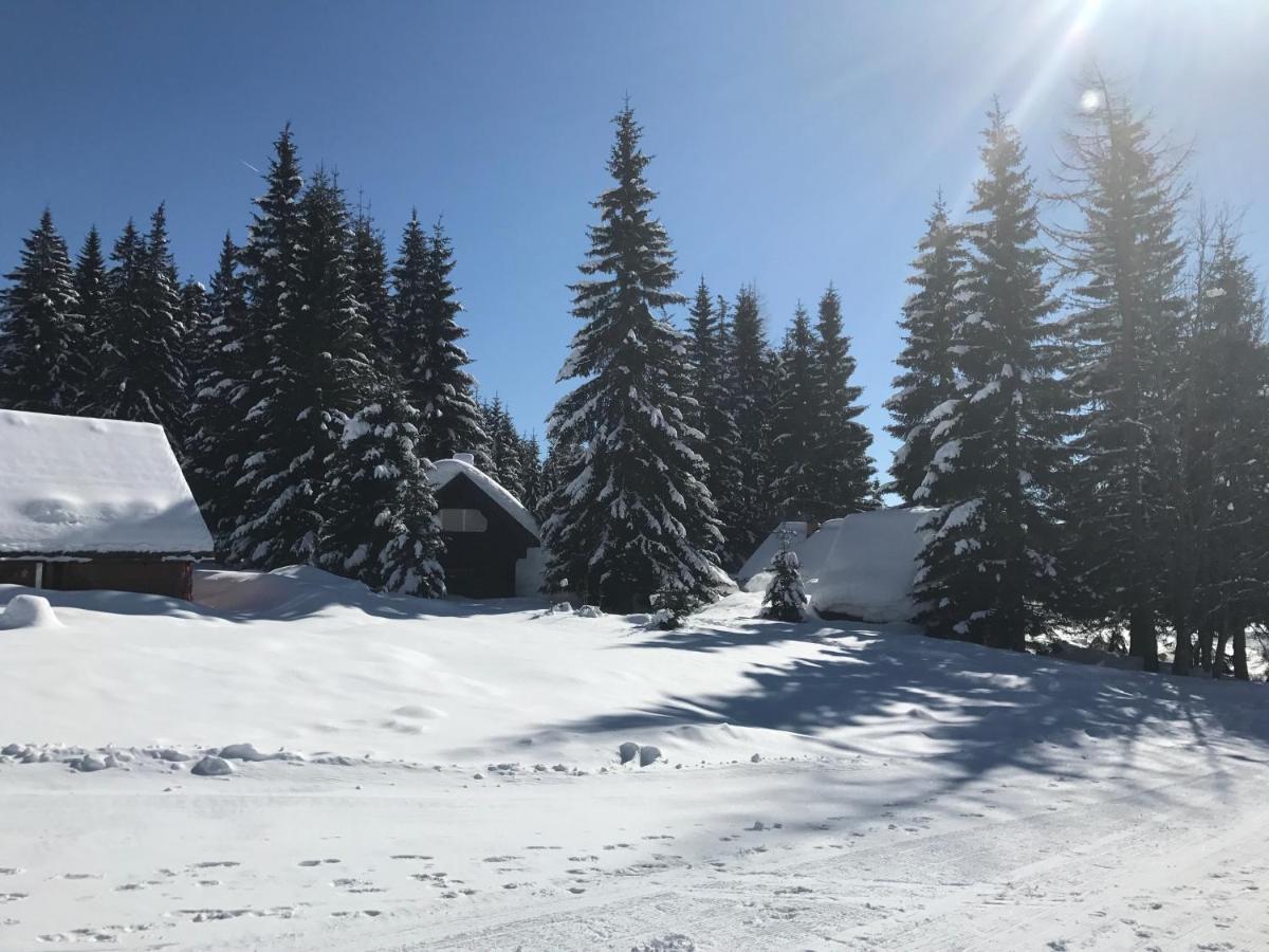 Chalet Stara Jelka Pokljuka Zgornje Gorje Екстериор снимка