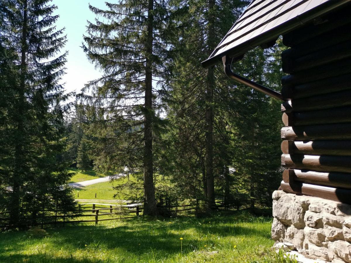 Chalet Stara Jelka Pokljuka Zgornje Gorje Екстериор снимка