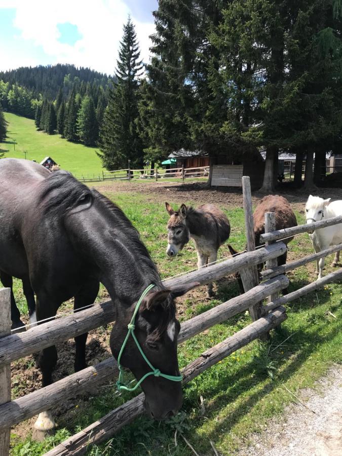 Chalet Stara Jelka Pokljuka Zgornje Gorje Екстериор снимка