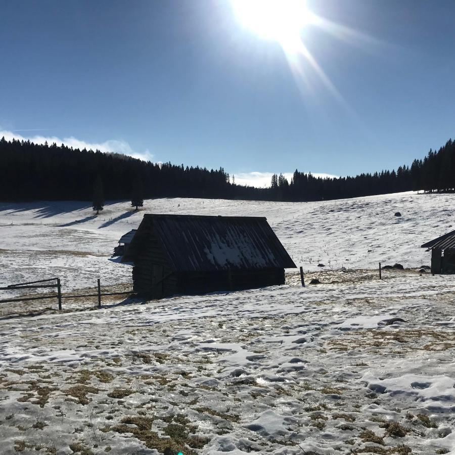 Chalet Stara Jelka Pokljuka Zgornje Gorje Екстериор снимка