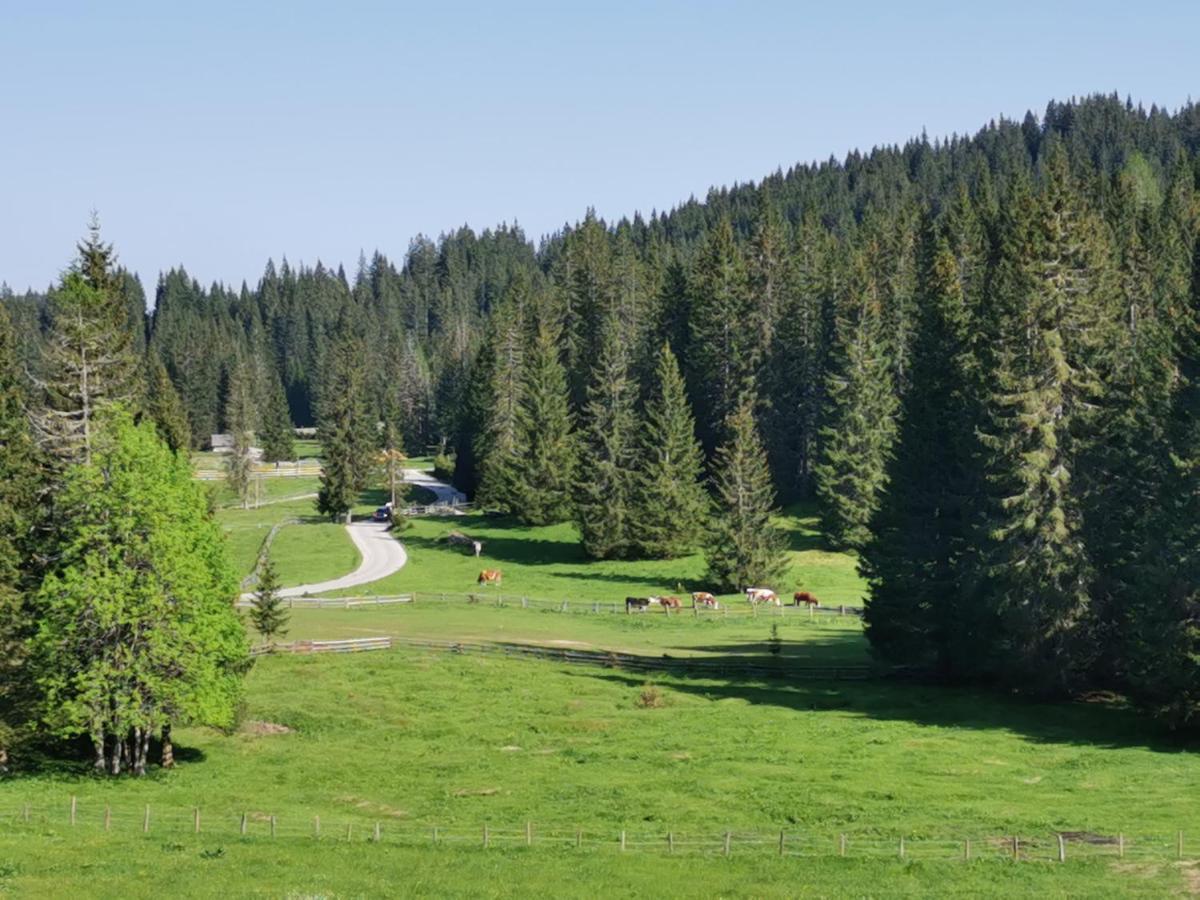 Chalet Stara Jelka Pokljuka Zgornje Gorje Екстериор снимка