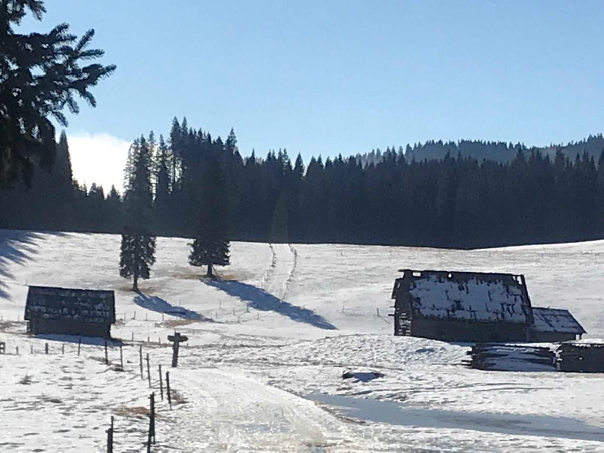 Chalet Stara Jelka Pokljuka Zgornje Gorje Екстериор снимка