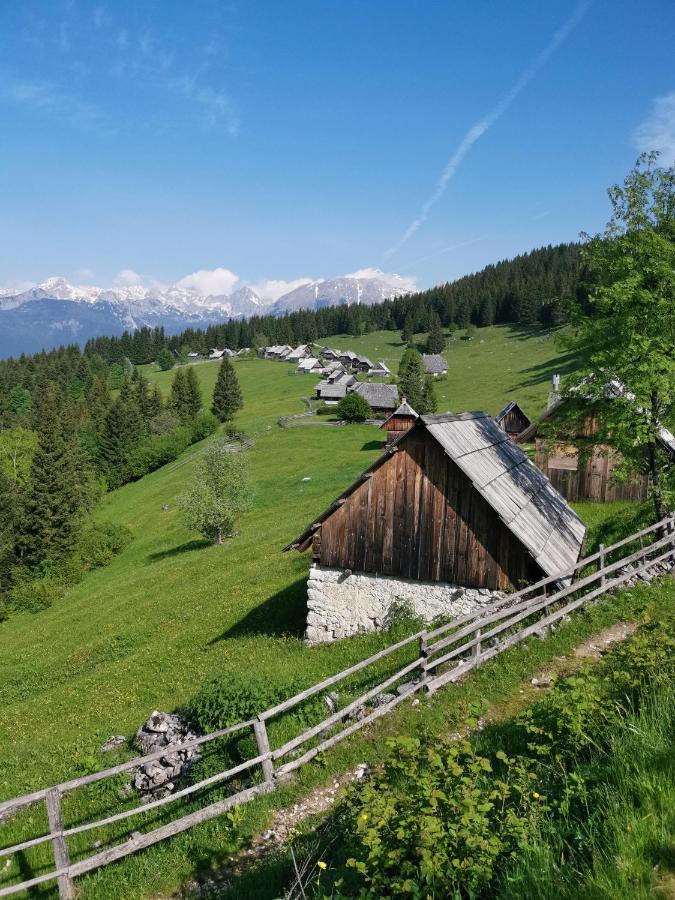 Chalet Stara Jelka Pokljuka Zgornje Gorje Екстериор снимка