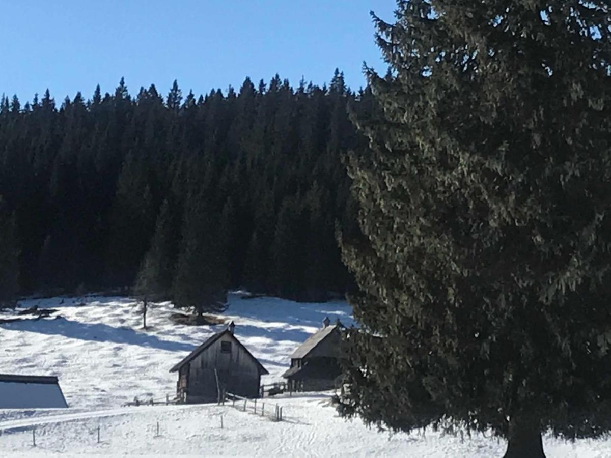 Chalet Stara Jelka Pokljuka Zgornje Gorje Екстериор снимка