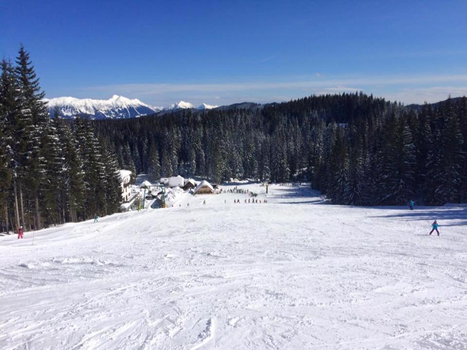 Chalet Stara Jelka Pokljuka Zgornje Gorje Екстериор снимка
