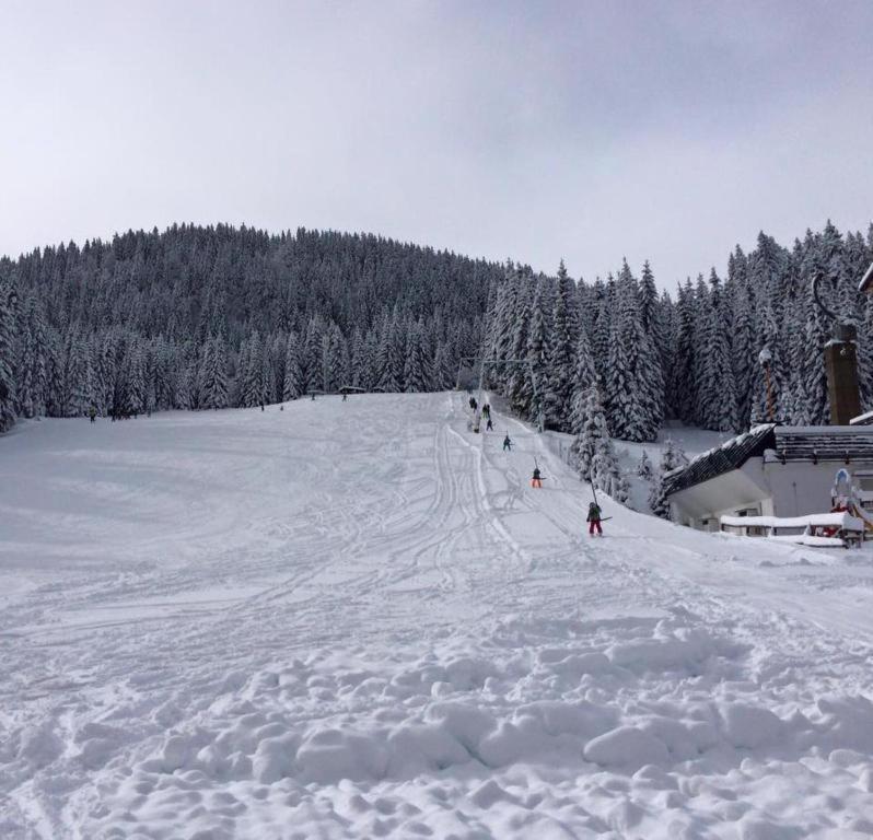 Chalet Stara Jelka Pokljuka Zgornje Gorje Екстериор снимка