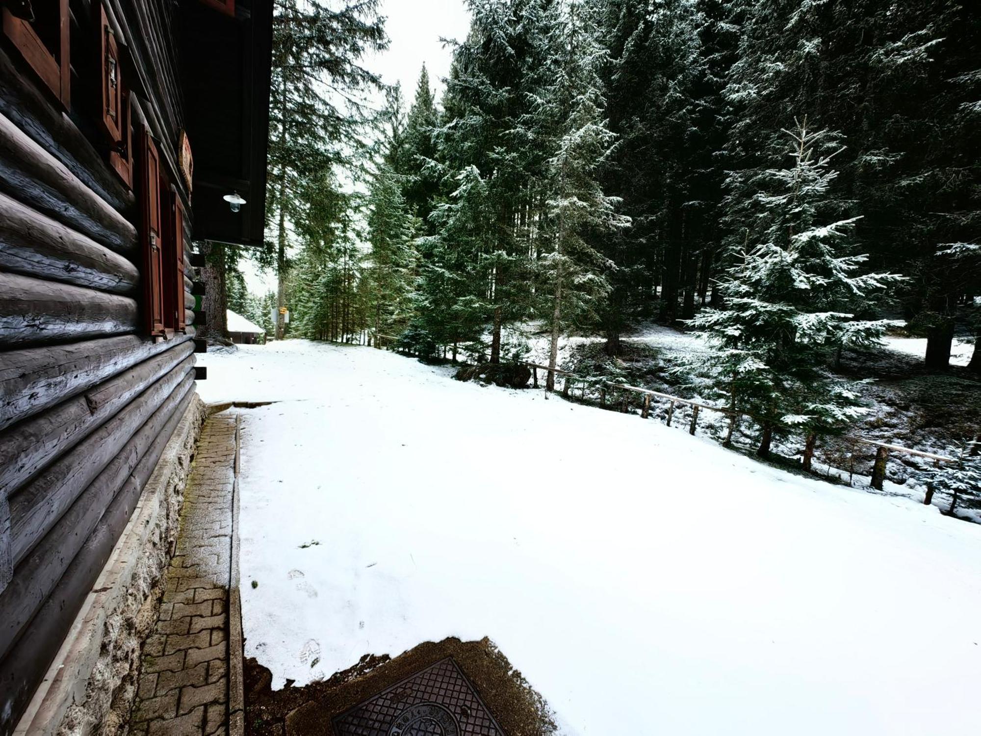 Chalet Stara Jelka Pokljuka Zgornje Gorje Екстериор снимка