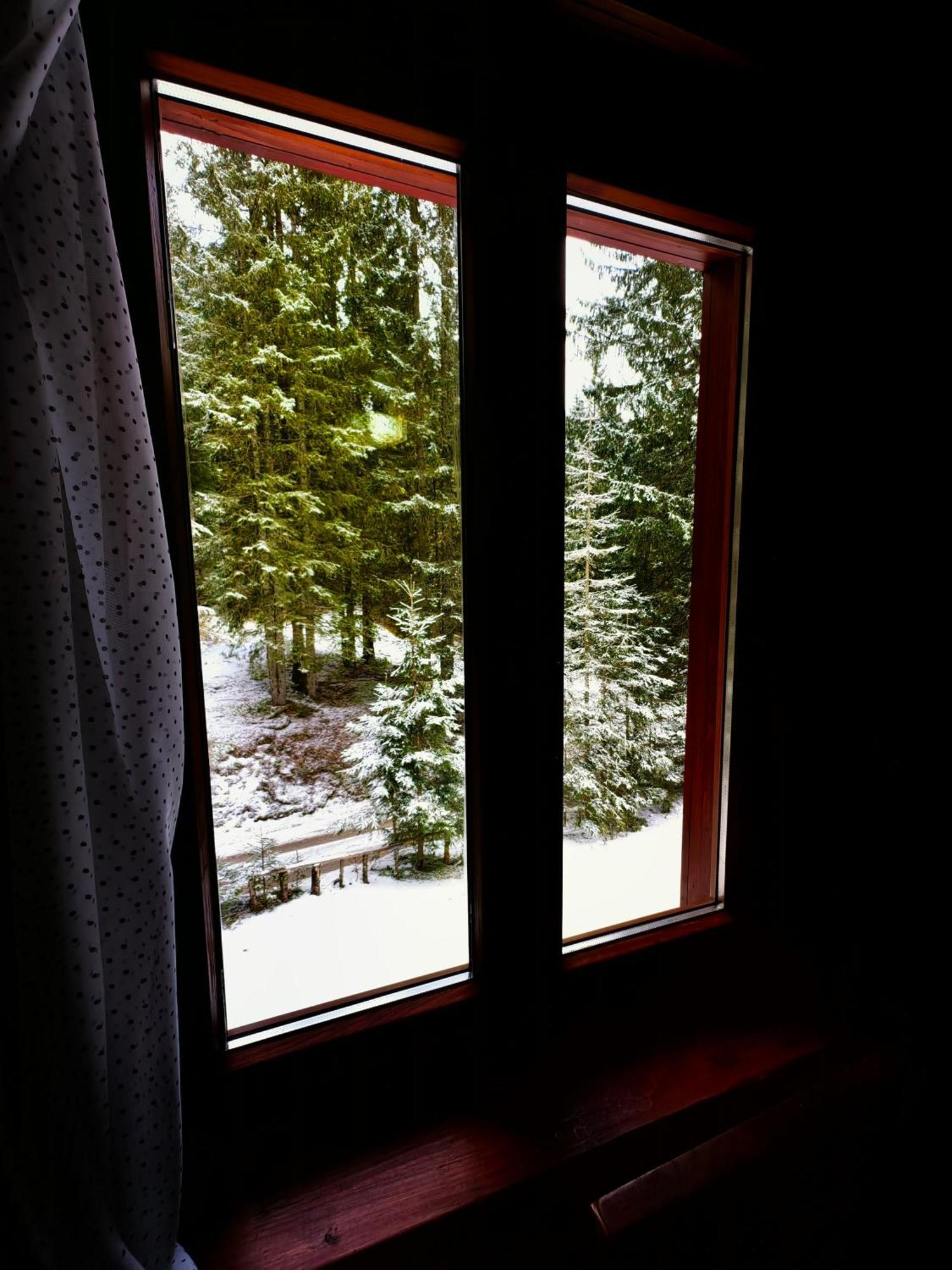 Chalet Stara Jelka Pokljuka Zgornje Gorje Екстериор снимка