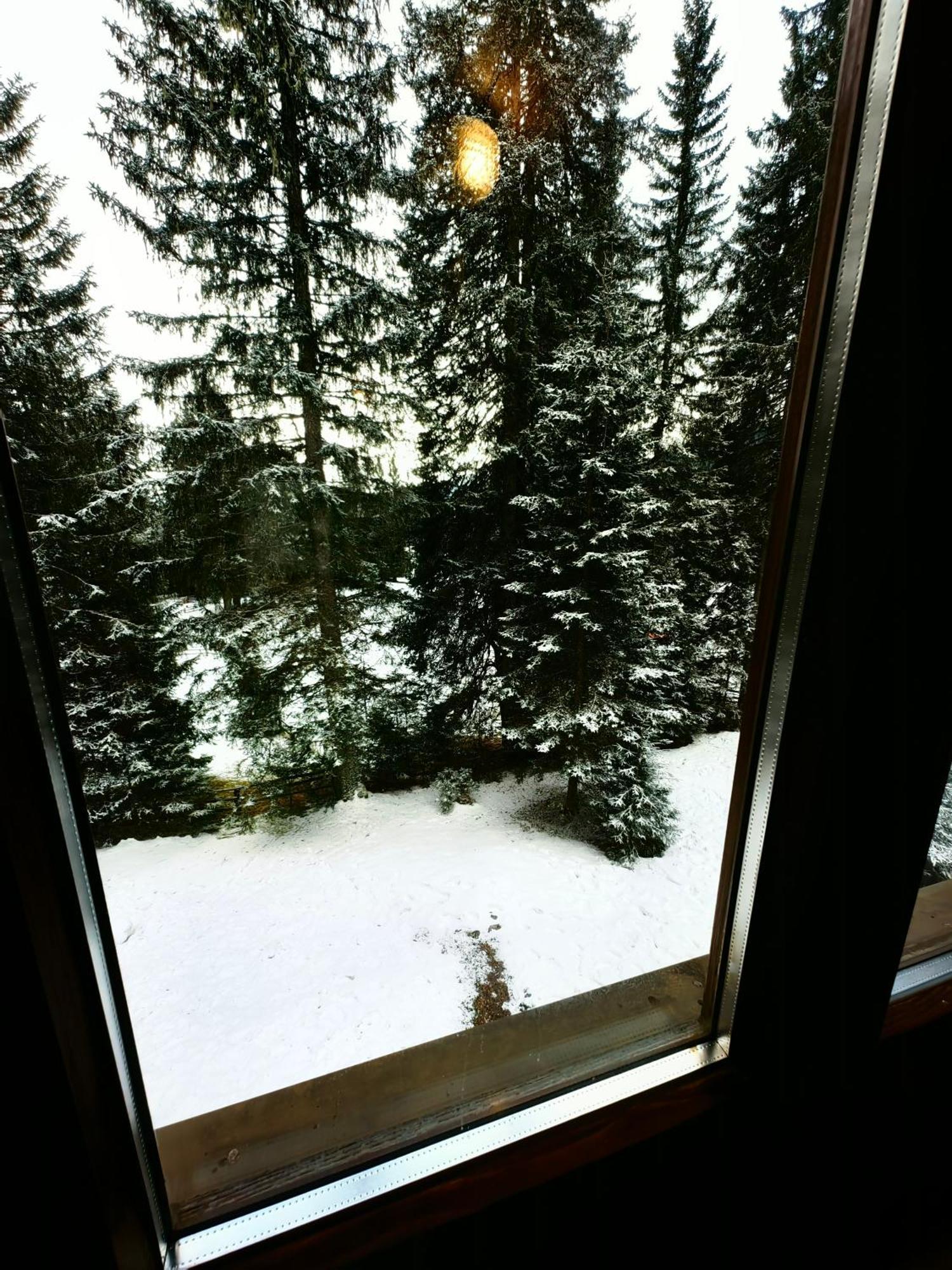 Chalet Stara Jelka Pokljuka Zgornje Gorje Екстериор снимка